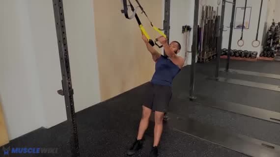 TRX Bizeps-Curl