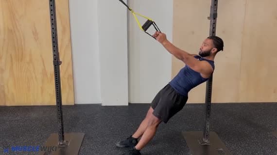 TRX Hammer-Curl