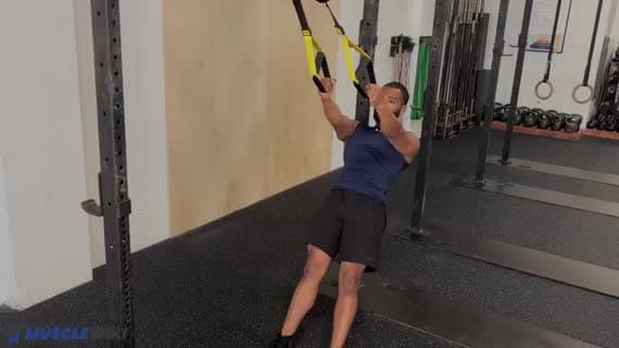 TRX Hammer-Curl