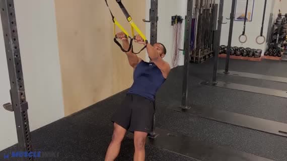 TRX Reverse-Curl