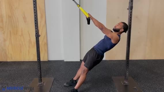 TRX Reverse-Curl