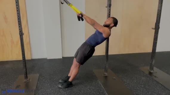 TRX Ruderzug mit Rotation