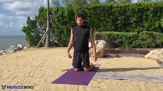 Table Top Pose Variation 1