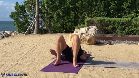 ウールドヴァ・ダヌラーサナ（ホイールポーズ）