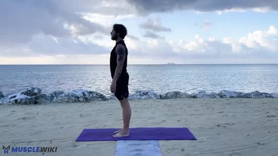 Pies z głową w dół