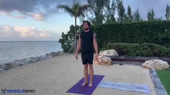 Pies z głową w dół