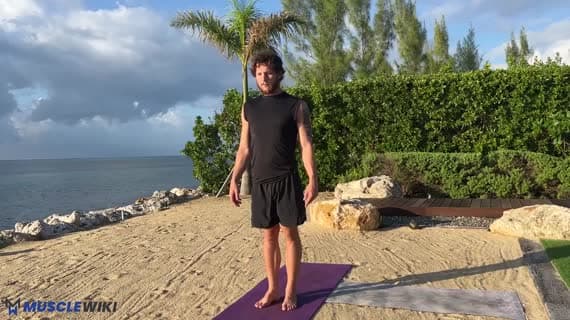 سگ سرپایین — از پنجه تا پاشنه