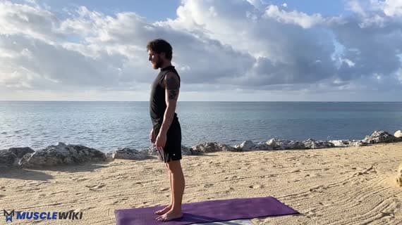 سگ سرپایین — از پنجه تا پاشنه