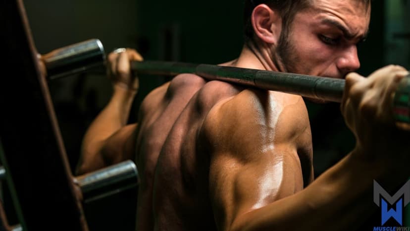 Intermediate Bodybuilder - Leg Day workout