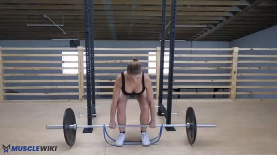 Barbell Banded Deadlift