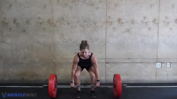 Barbell Conventional Pause Deadlift