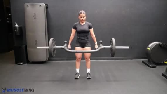 Trap Bar Romanian Deadlift