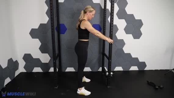 Bodyweight Assisted Squat