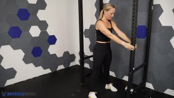 Bodyweight Assisted Squat