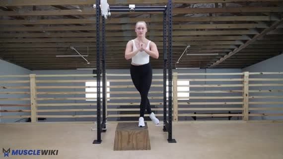 Bodyweight Curtsy Step Down
