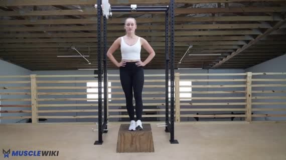 Bodyweight Step Down