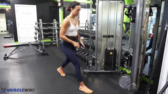 Cable Belt Split Squat
