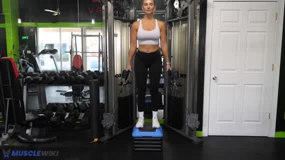 Cable Elevated Deadlift