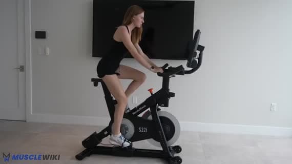 Stationary Bike