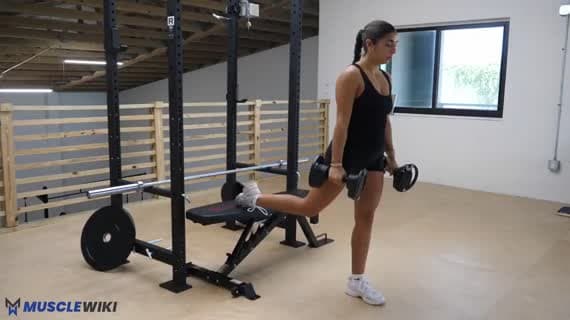 Dumbbell Bulgarian Split Squat