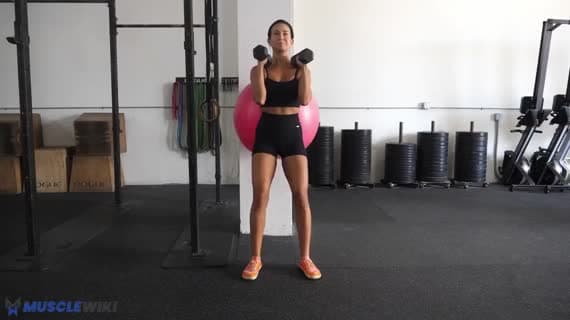 Dumbbell Front Rack Stability Ball Wall Squat