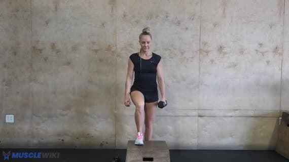 Dumbbell Single Arm Step Up