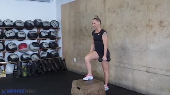 Dumbbell Single Arm Step Up