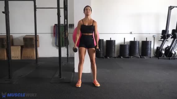 Squat au mur avec ballon de stabilité et haltères
