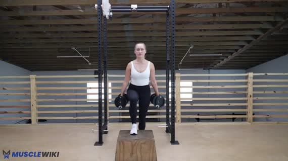 Dumbbell Step Up Knee Drive