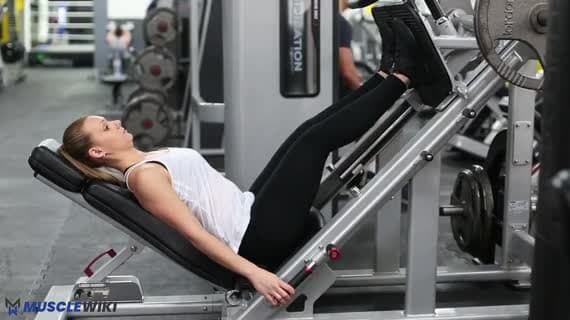 Machine Leg Press