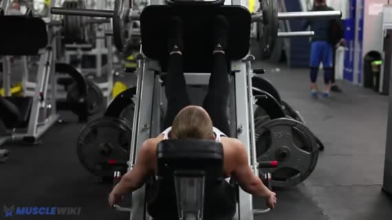 Machine Leg Press