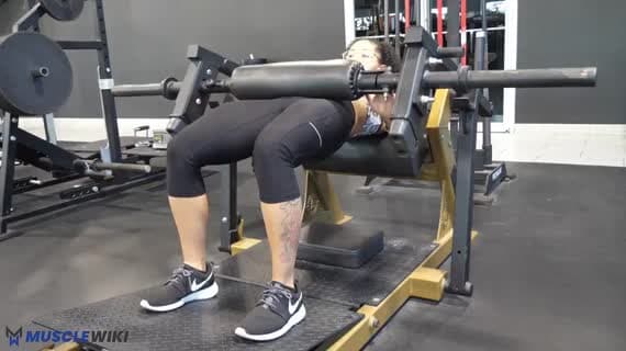 Machine Plate Loaded Hip Thrust