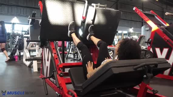 Machine Single Leg Leg Press