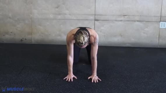 Core Stability 1 Crosslateral Limb Raise 4Pt Position