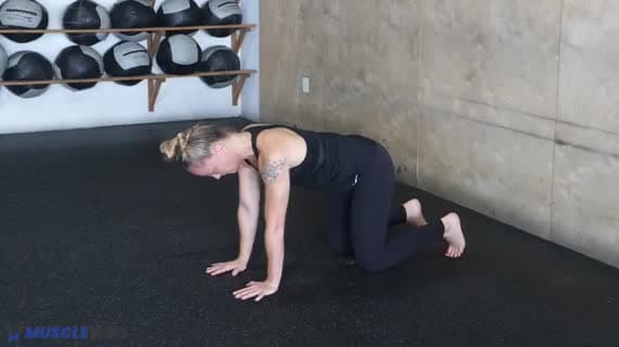 Core Stability 1 Crosslateral Limb Raise 4Pt Position