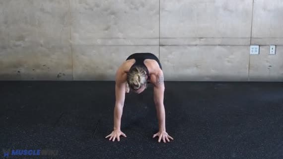 Core Stability 4 Crosslateral Limb Raise Push Up Position