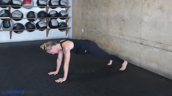 Core Stability 4 Crosslateral Limb Raise Push Up Position