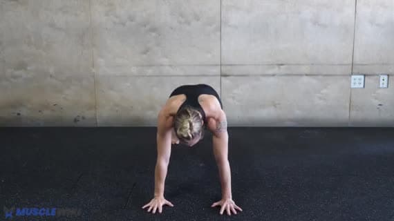Core Stability 5 Crosslateral Limb Raise Into Knee Elbow Tuck Push Up Position