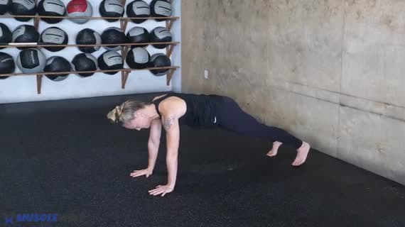 Core Stability Regression Crosslateral Limb Raise Push Up Position