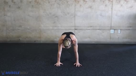 Core Stability Regression Crosslateral Limb Raise Push Up Position