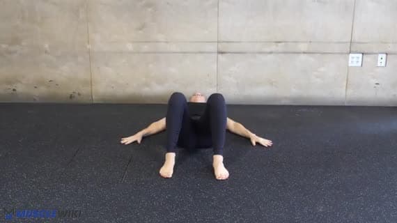 Glute Stretch Static Unilateral