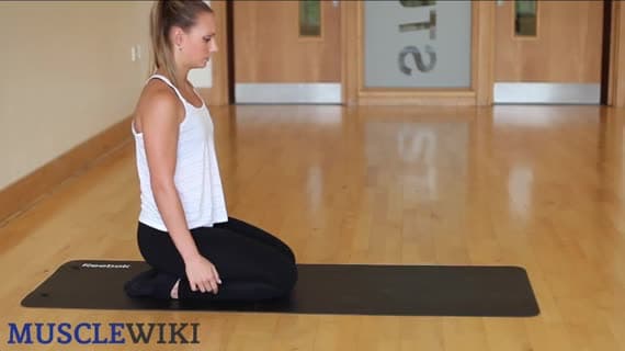 Glutes Stretch Variation One