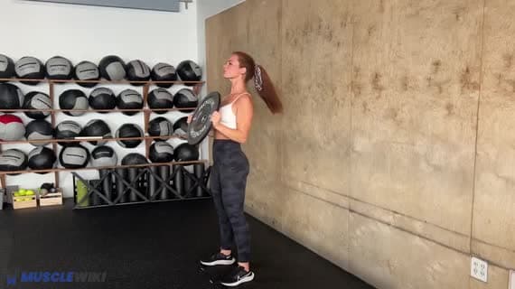 Plate Clean And Press