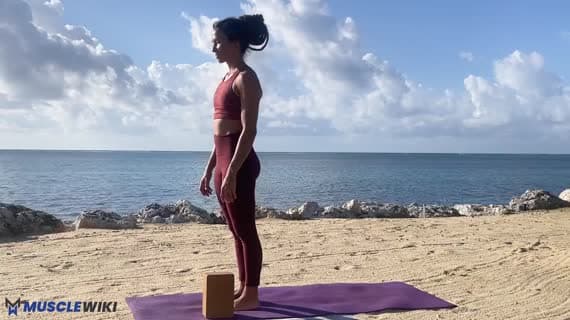 Crescent Moon Pose Quad Stretch With Block