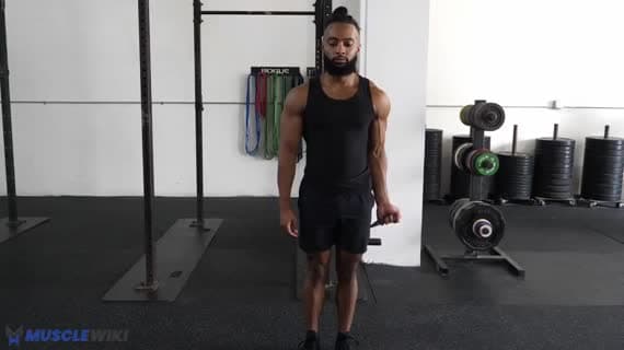Uginanie bicepsa z gumą (Bayesian)