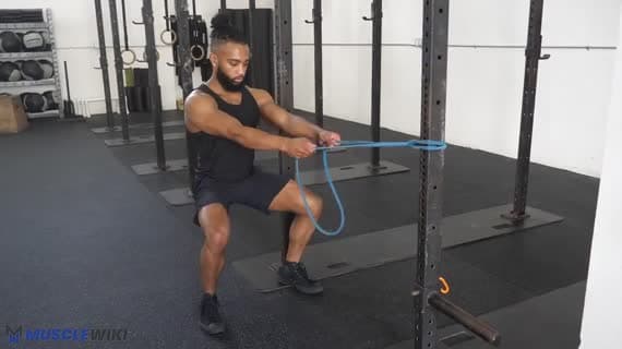 Band Squat Hold Row