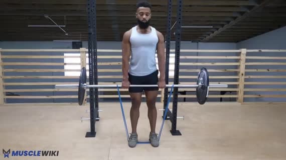 Halterli Bantlı Romen Deadlift