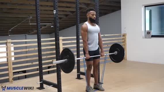 Halterli Bantlı Romen Deadlift