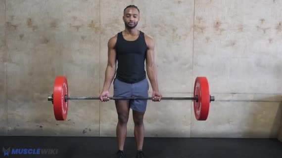 Curl à la barre