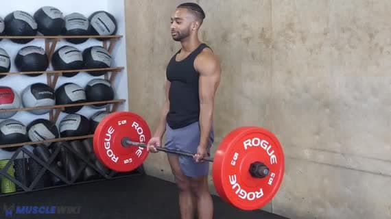 Curl à la barre